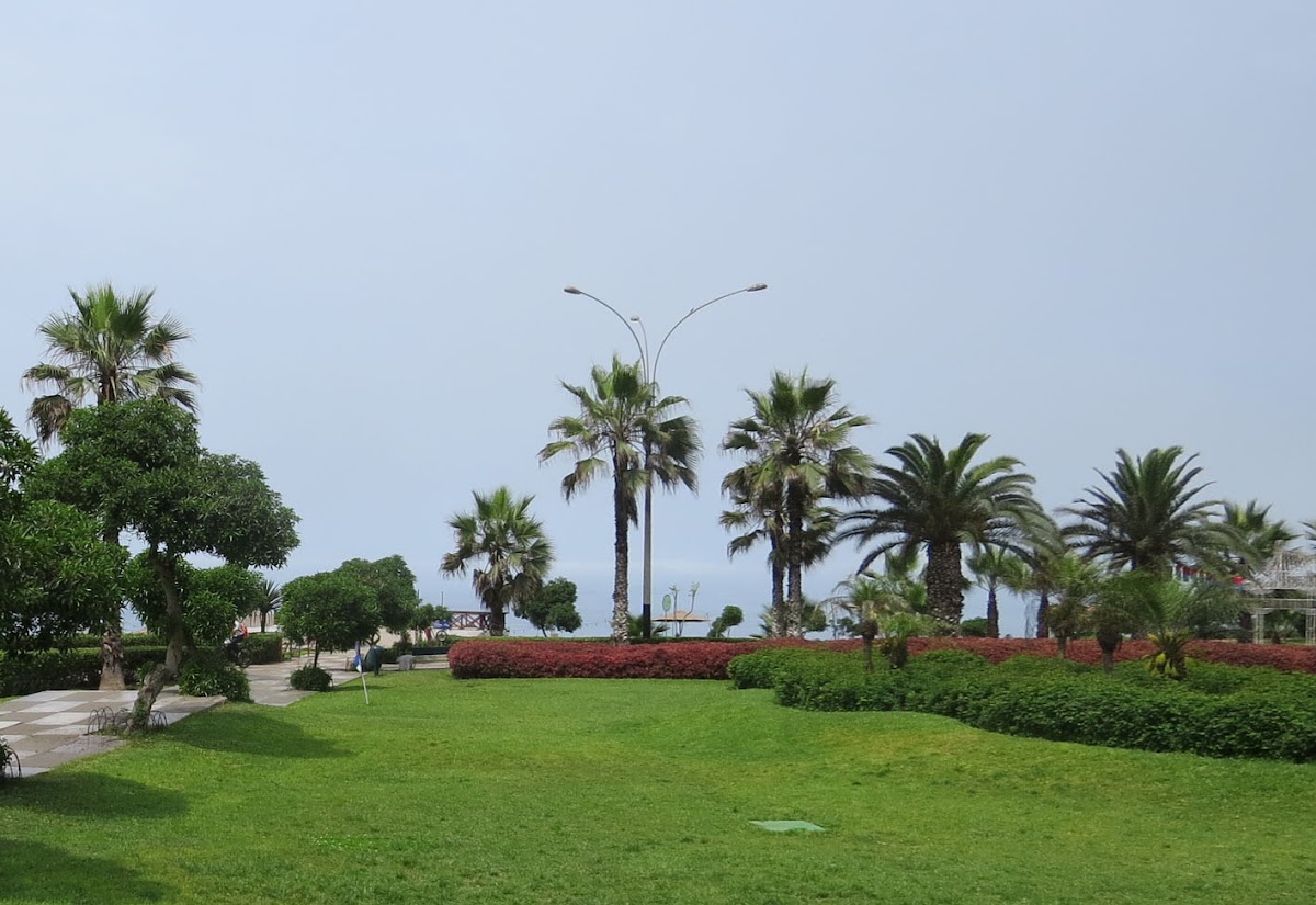 ALINEA INMOBILIARIA
