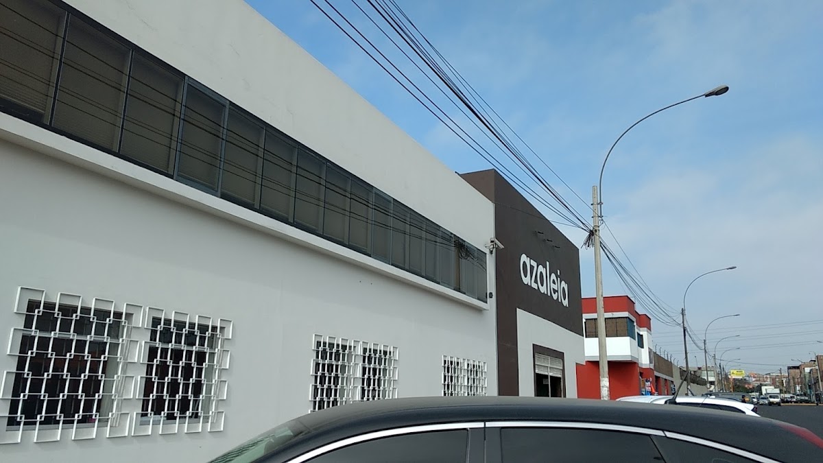 Azaleia Catálogo