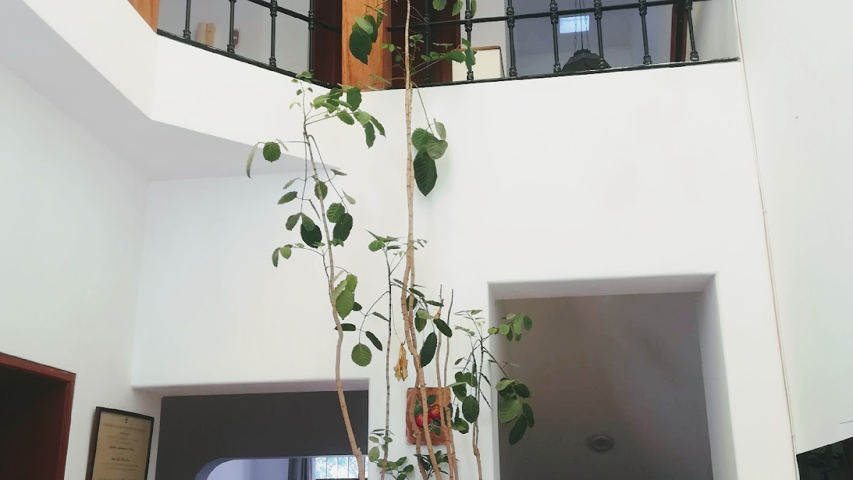 Casa Huaca