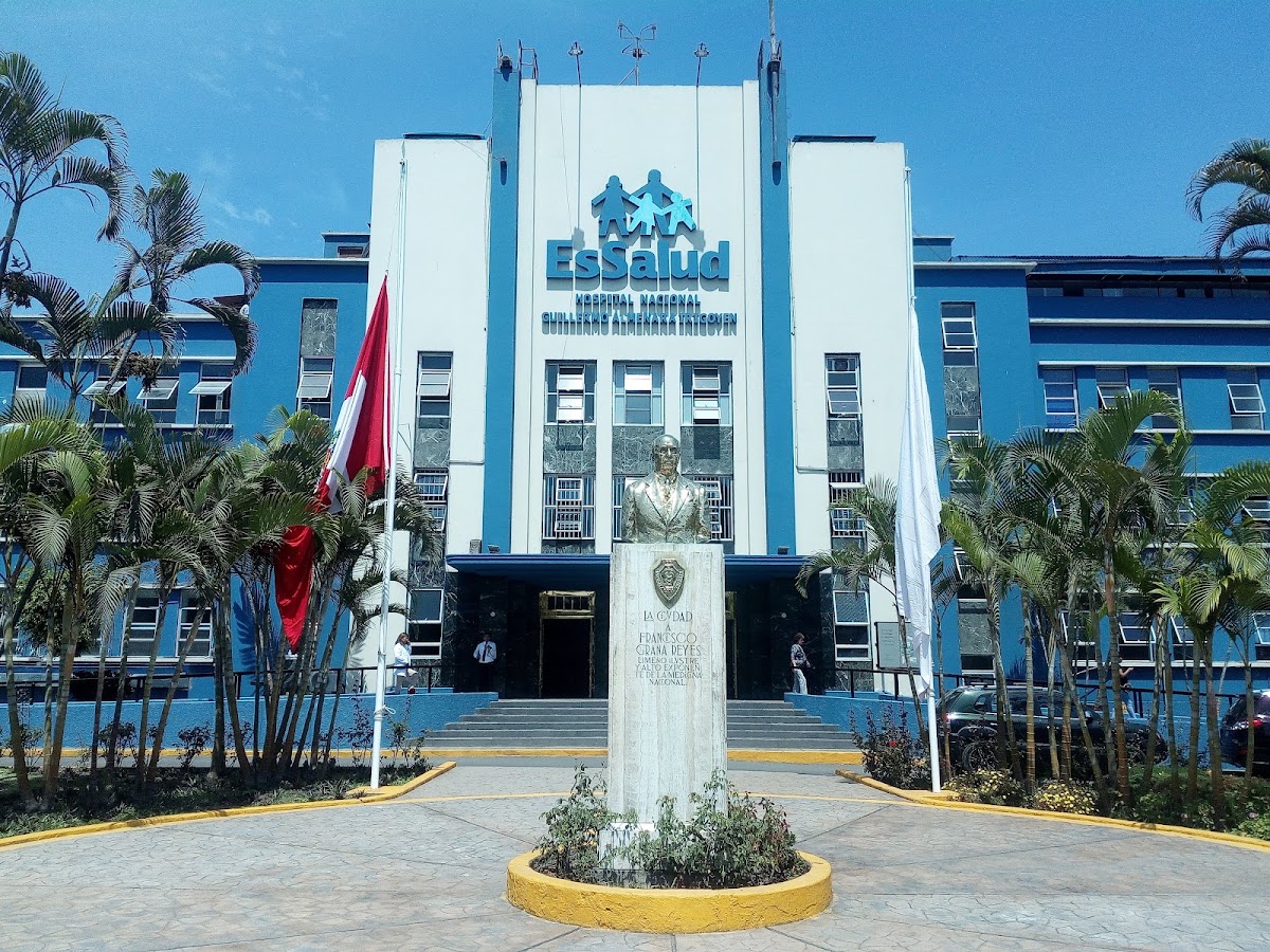 Guillermo Almenara Irigoyen National Hospital