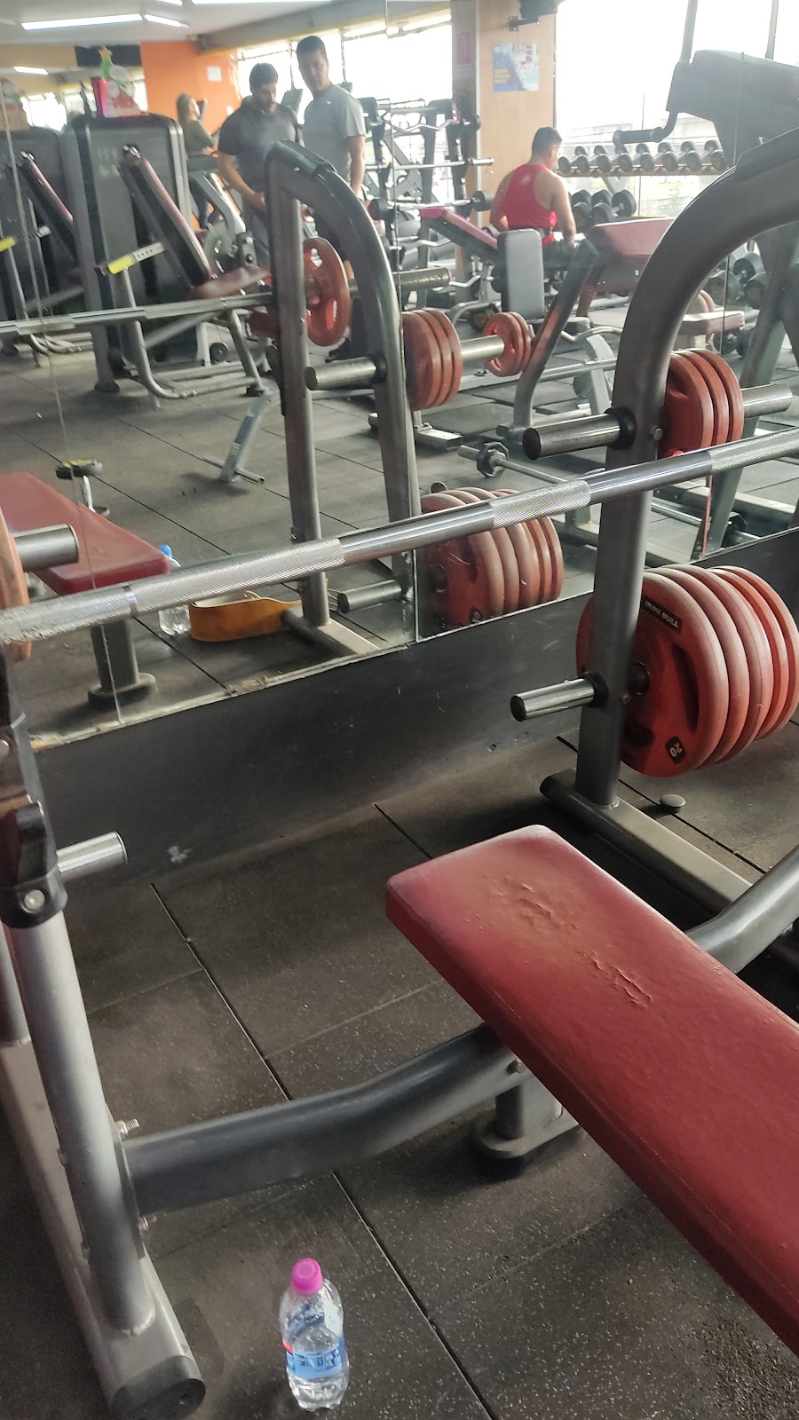Gym Muscle Beach