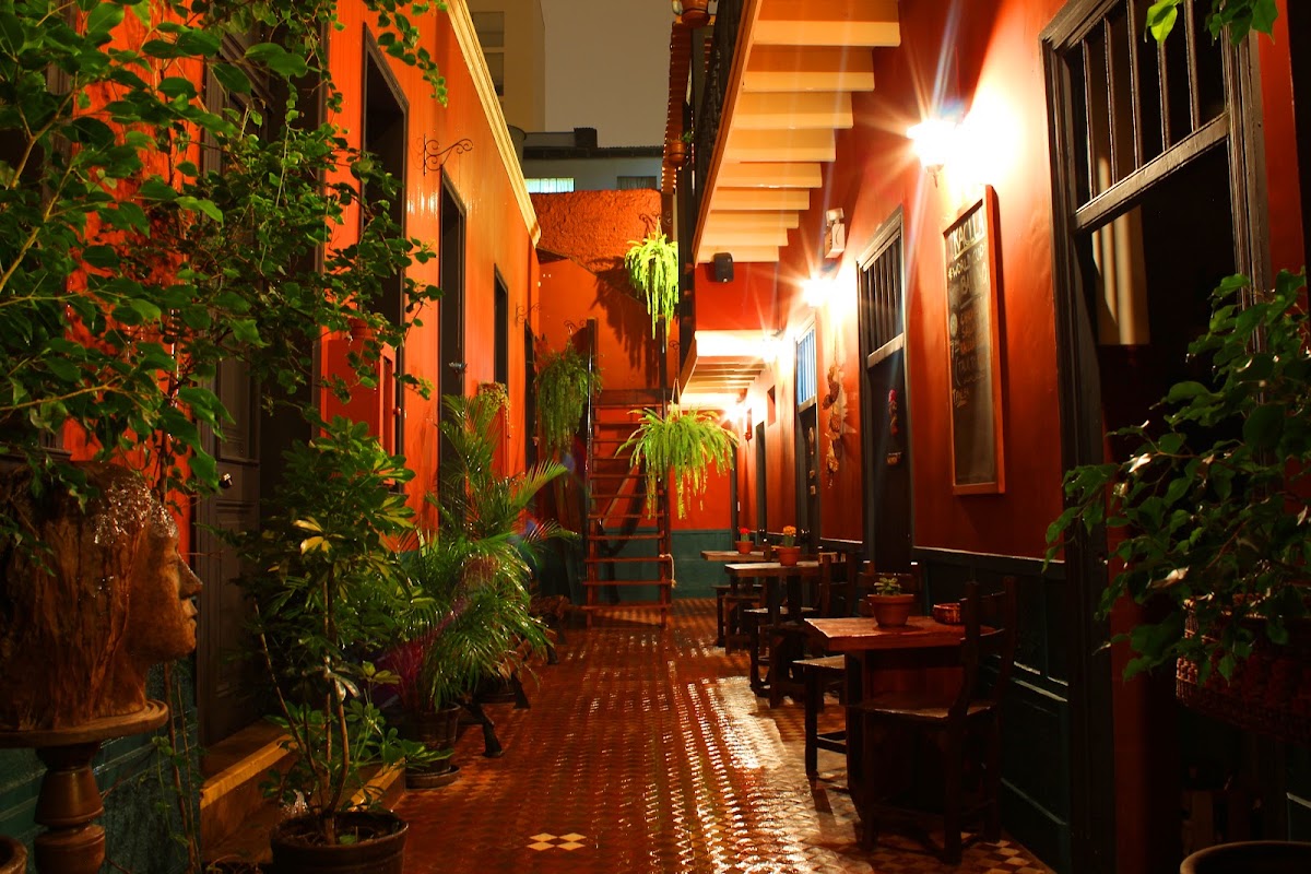 Kaclla, The Healing Dog Hostel