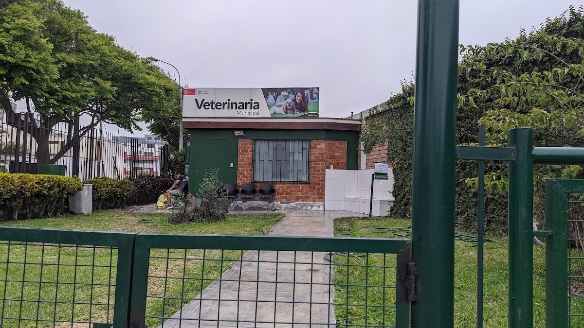 Municipalidad de San Isidro - Veterinario Municipal