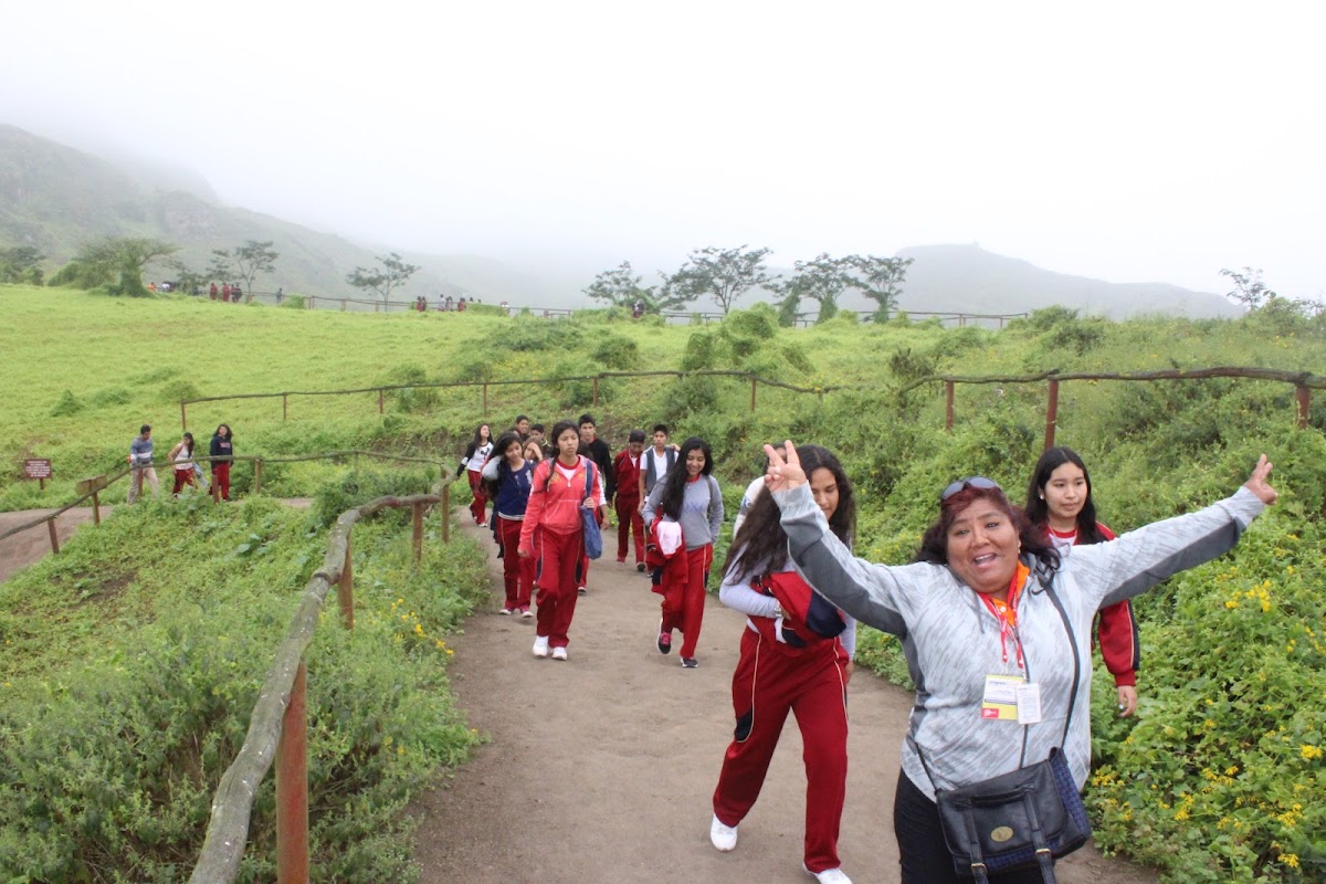 PROGRAM TOURS